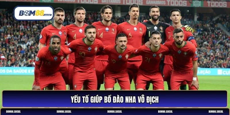 bồ đào nha vô địch world cup năm nào
