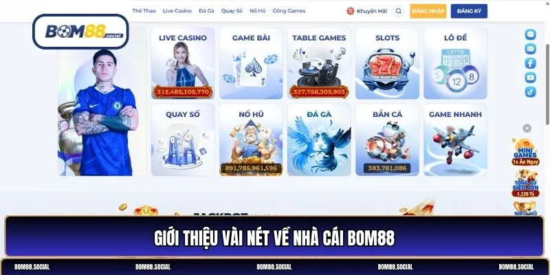 BOM88