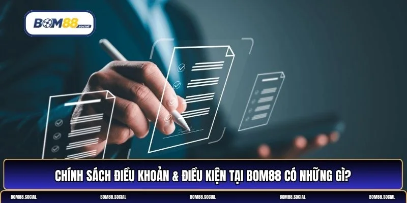 Điều khoản & điều kiện