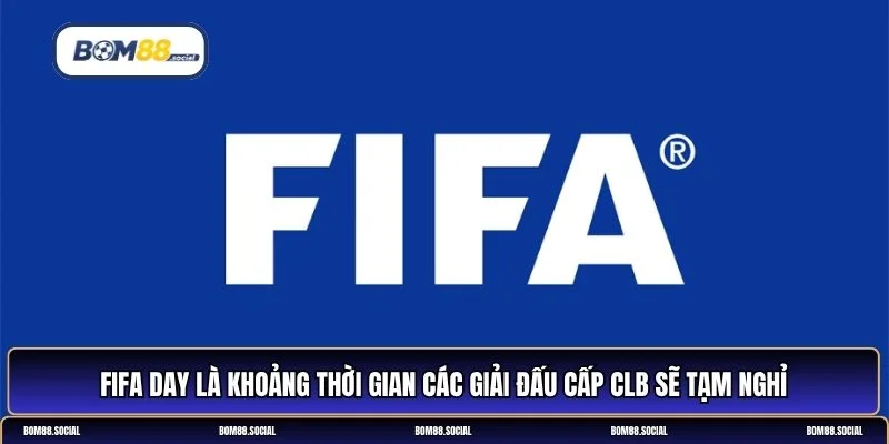 FIFA Day là gì?
