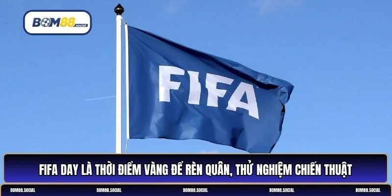 FIFA Day là gì?