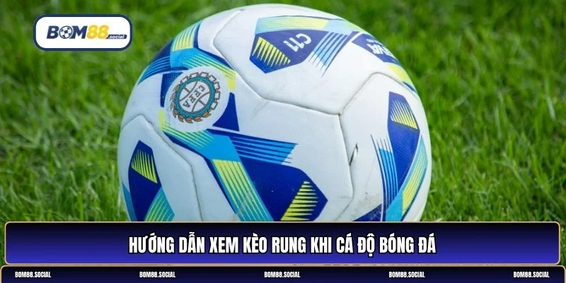 kèo rung là gì